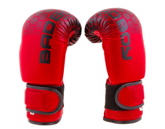 Боксерские перчатки Bad Boy DX
